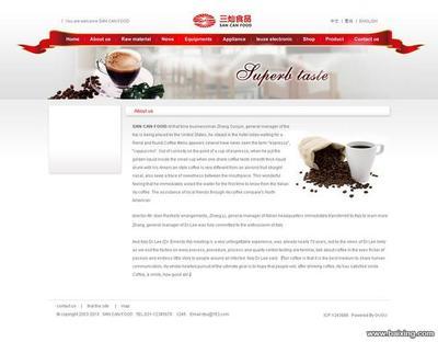 松江企業網站建設 從設計制作到專業維護的一站式服務